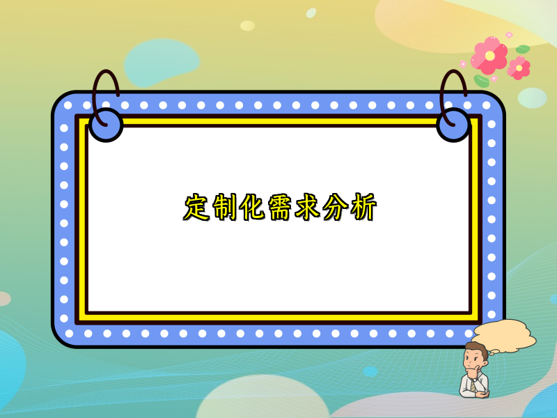 定制化需求分析