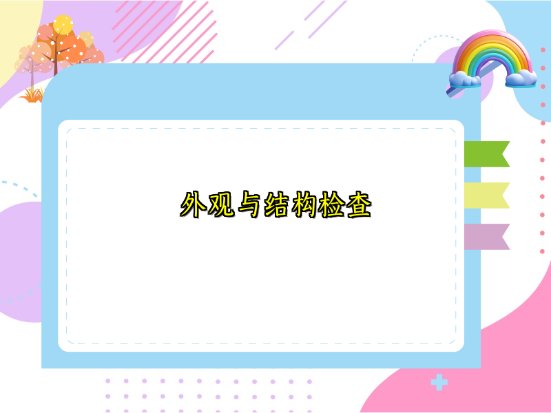 外观与结构检查