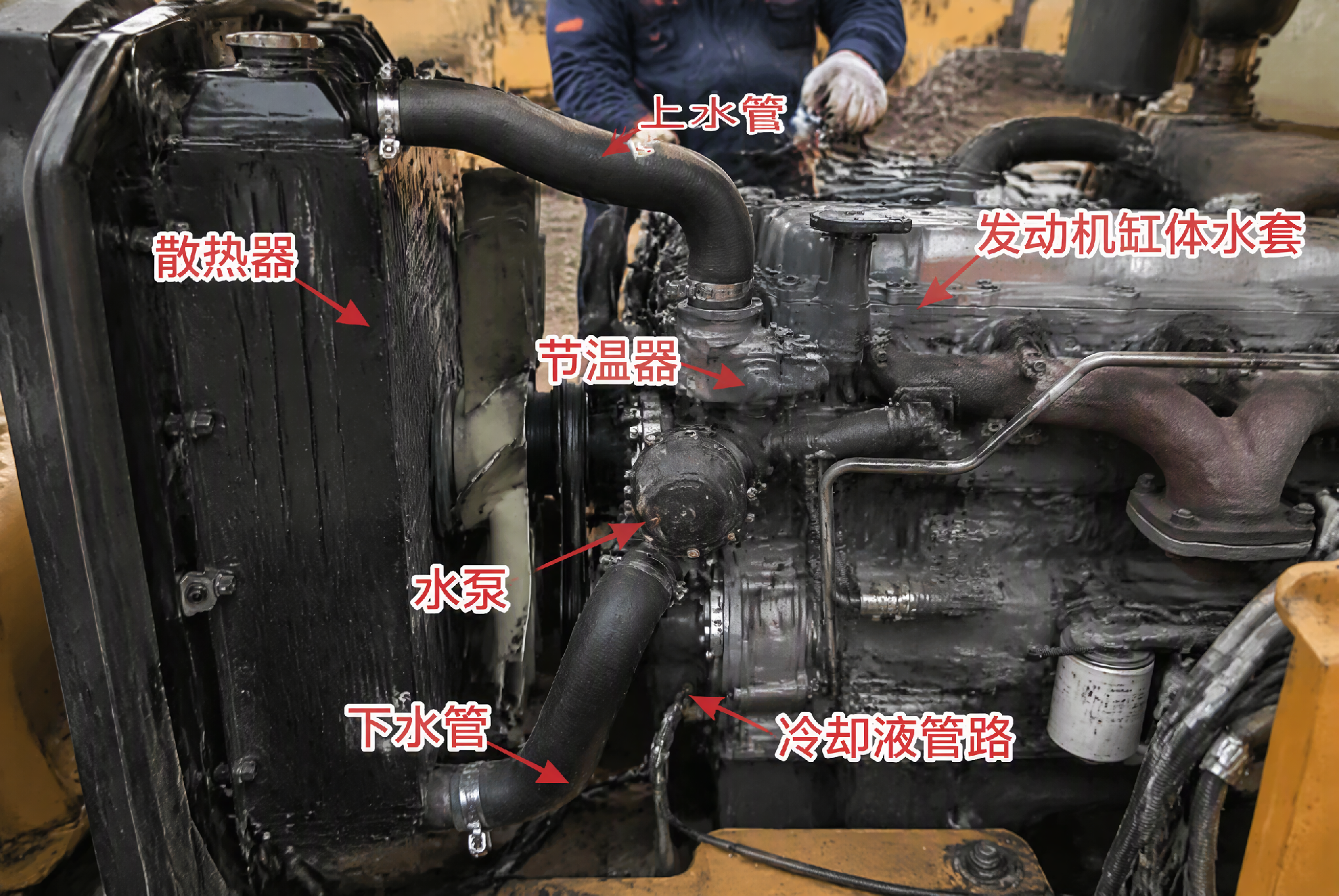 柴油发动机冷却系统结构